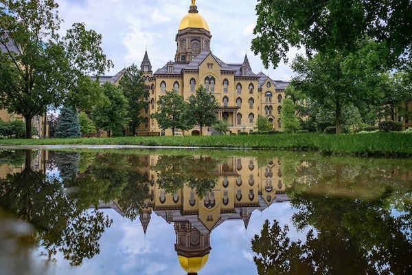 Main Building Reflected In A Puddle